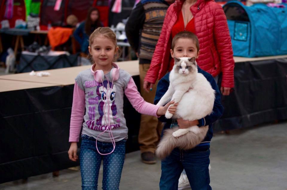 /images/Galeria/Kiállítások (Cat shows)/18835587_437016339999399_1874163445314188195_n.jpg